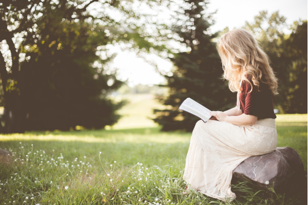 Literatura Infantil e o Desenvolvimento Socioemocional: A Conexão Fundamental